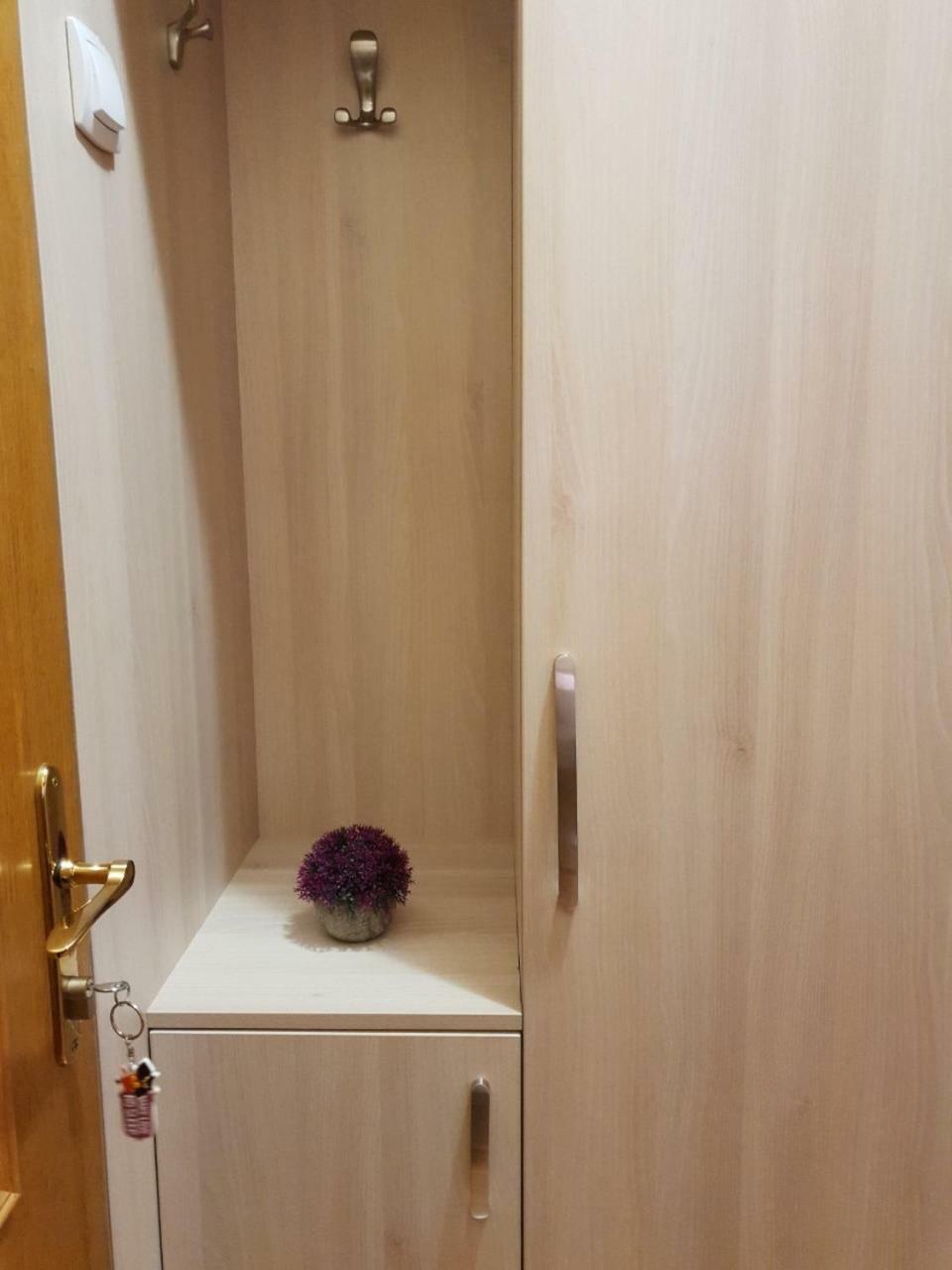 Apartments Radosavovic バール エクステリア 写真